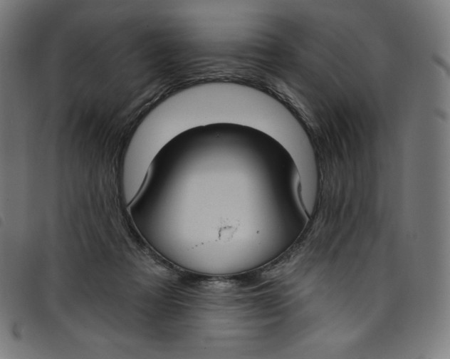 X0000098090313200804251301