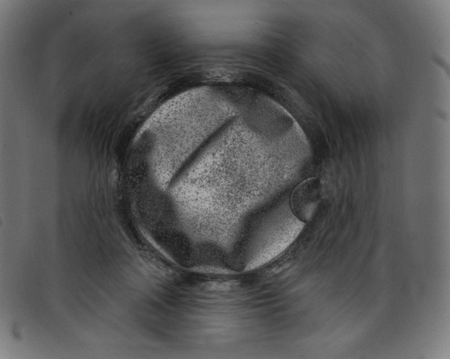 X0000098090314200804251301