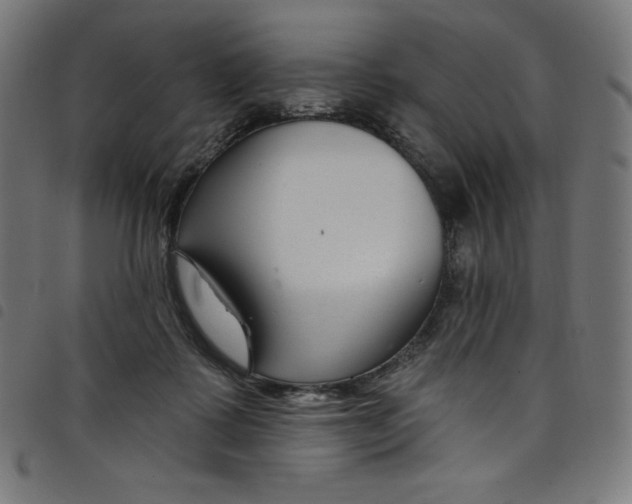 X0000098090315200804251301