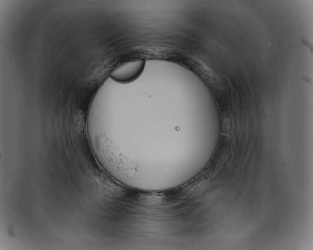 X0000098090318200804251301