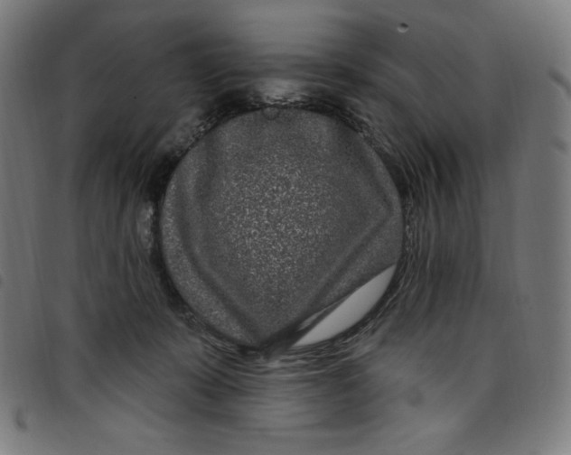 X0000098090319200804251301