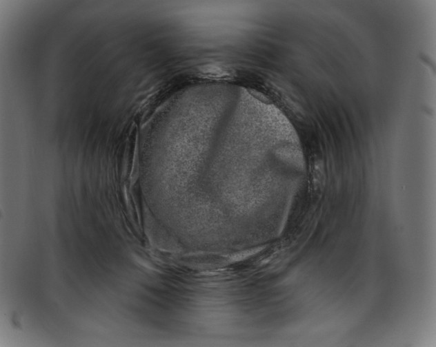 X0000098090320200804251301