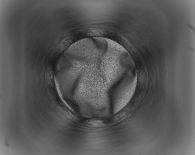 X0000098090322200804251301