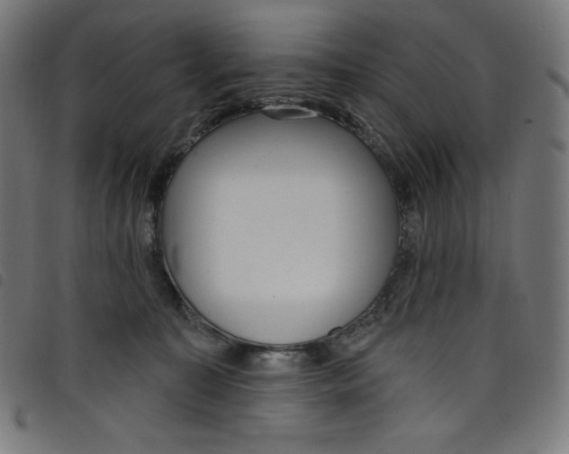 X0000098090323200804251301