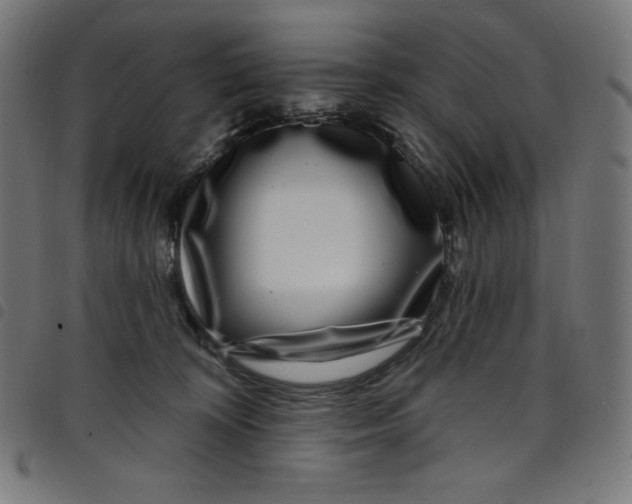 X0000098090324200804251301