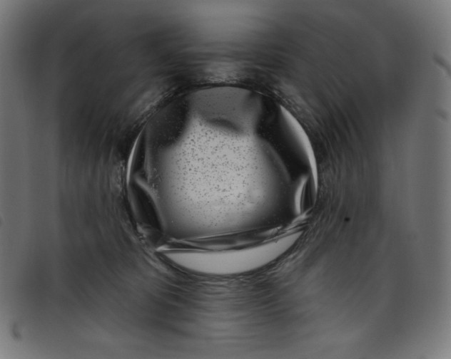 X0000098090325200804251301