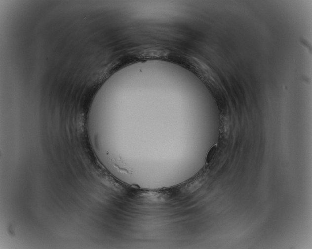 X0000098090326200804251301