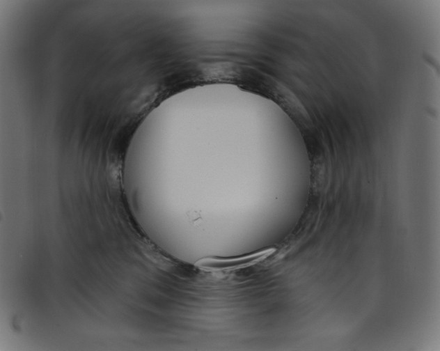 X0000098090329200804251301