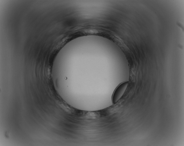 X0000098090330200804251301