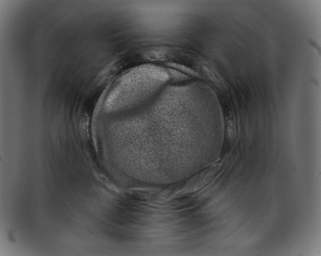 X0000098090332200804251301