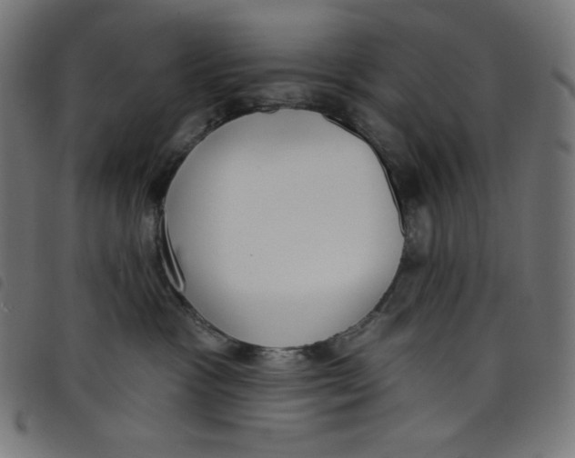 X0000098090333200804251301