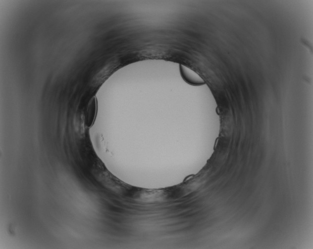 X0000098090334200804251301