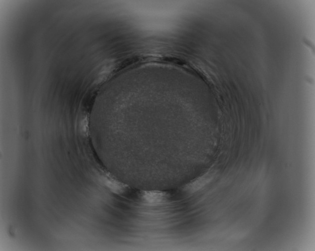 X0000098090336200804251301