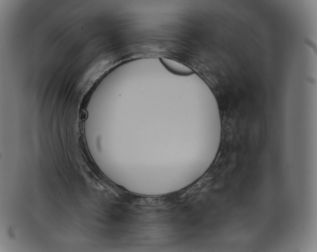 X0000098090338200804251300