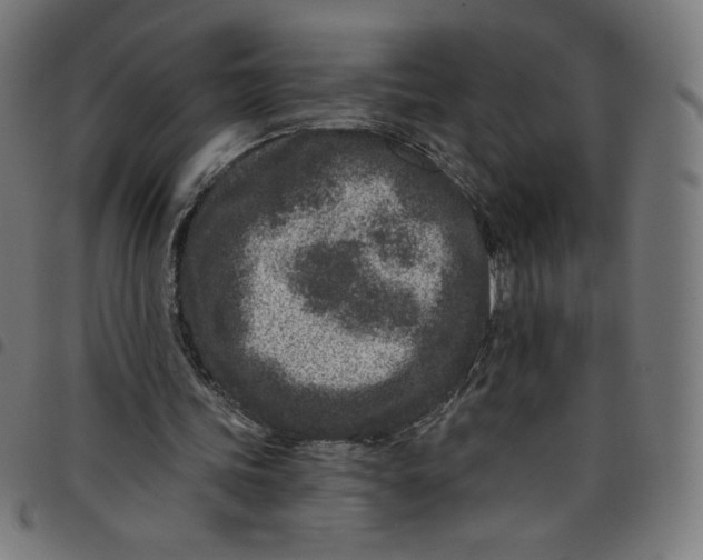 X0000098090339200804251300