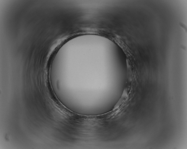 X0000098090342200804251300