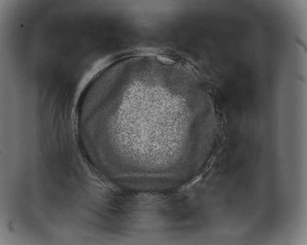 X0000098090343200804251300