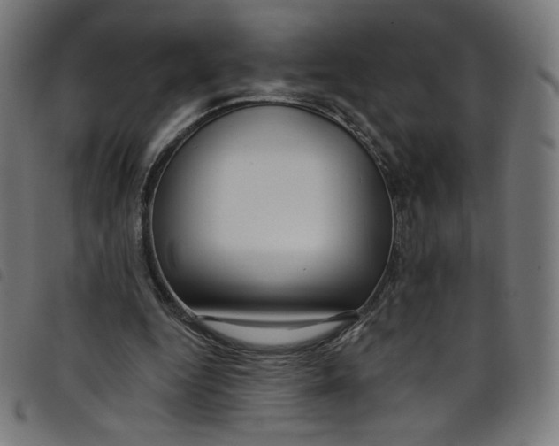 X0000098090344200804251300