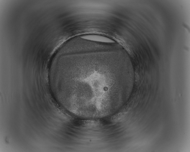 X0000098090347200804251300