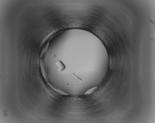 X0000098090348200804251300