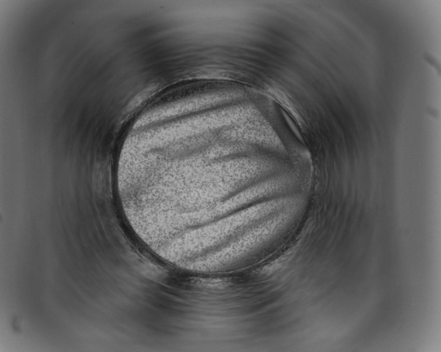 X0000098090349200804251300