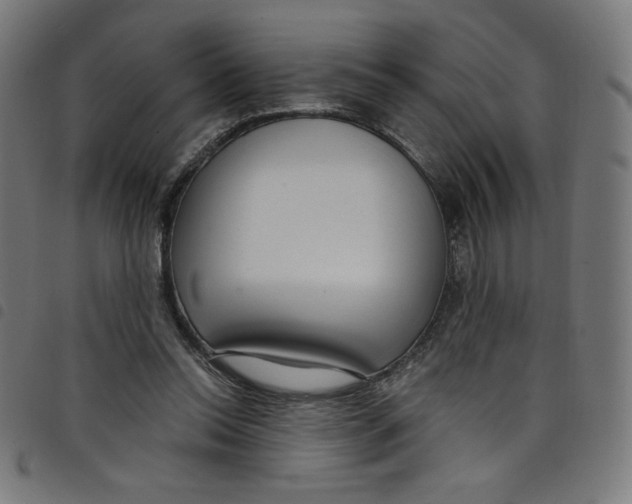 X0000098090350200804251300