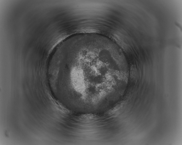 X0000098090351200804251300