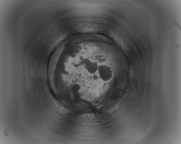 X0000098090353200804251300