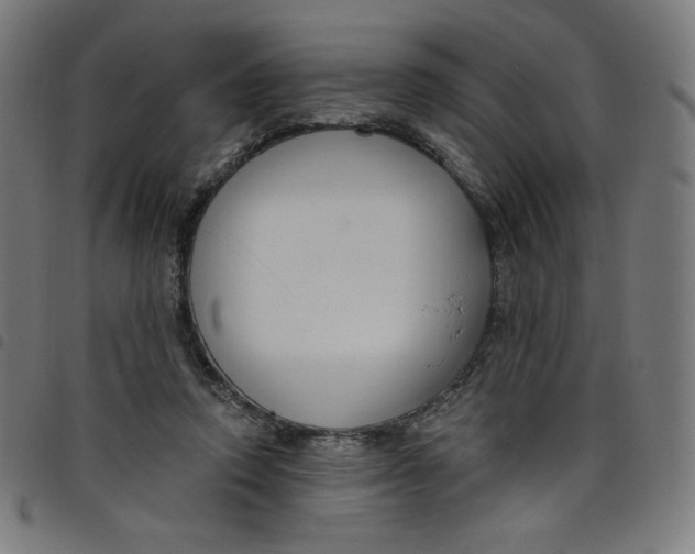 X0000098090354200804251300