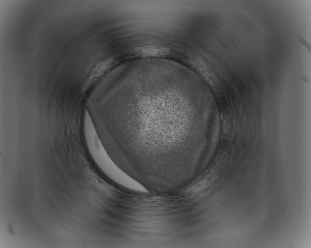 X0000098090357200804251300