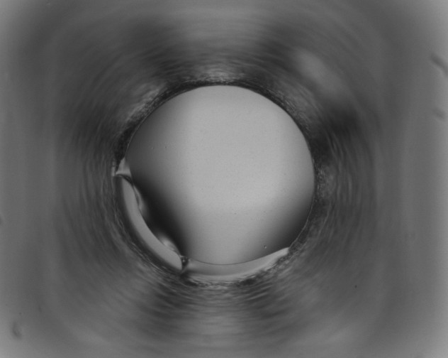 X0000098090358200804251300