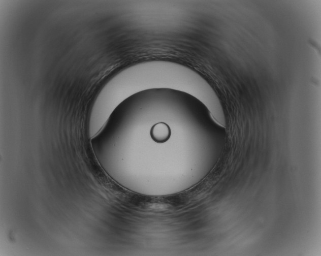 X0000098090360200804251300