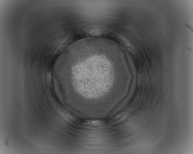 X0000098090365200804251300