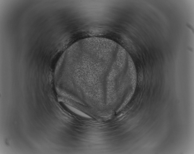 X0000098090367200804251300