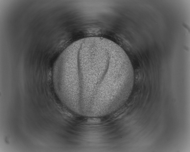 X0000098090369200804251300