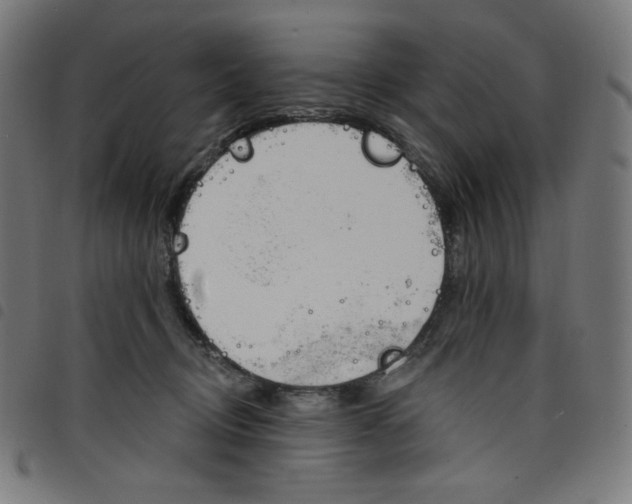 X0000098090370200804251300