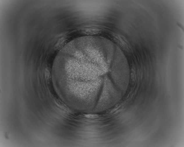 X0000098090371200804251301