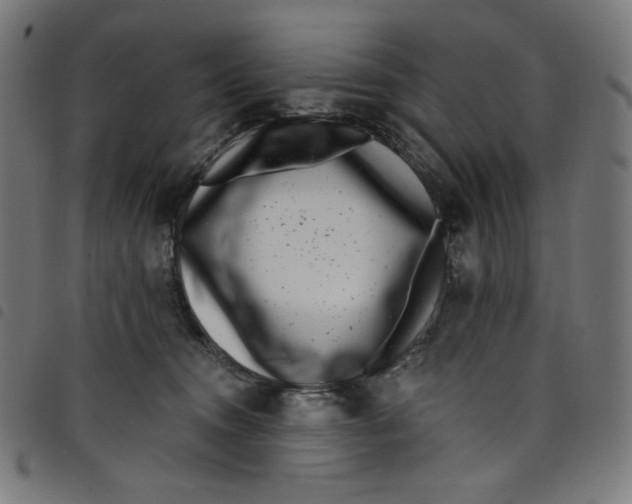 X0000098090372200804251301