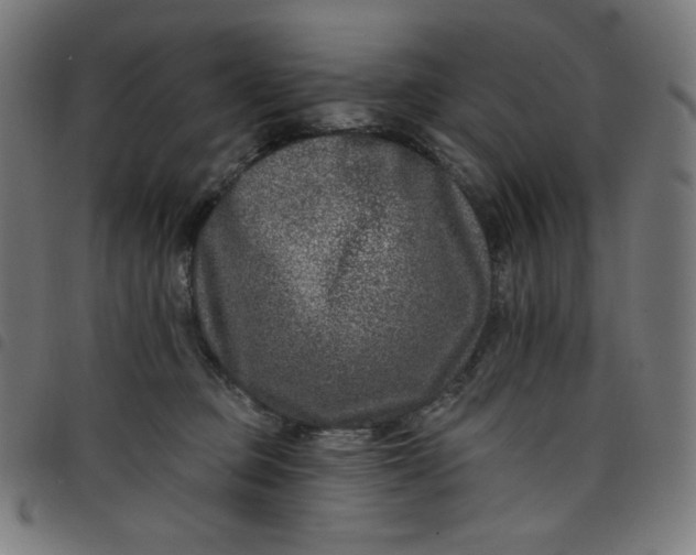 X0000098090373200804251301