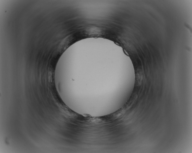 X0000098090379200804251301