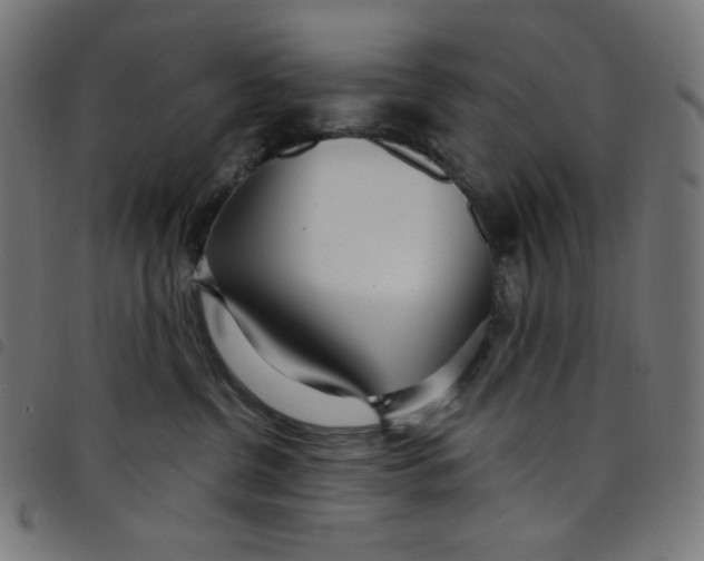 X0000098090380200804251301