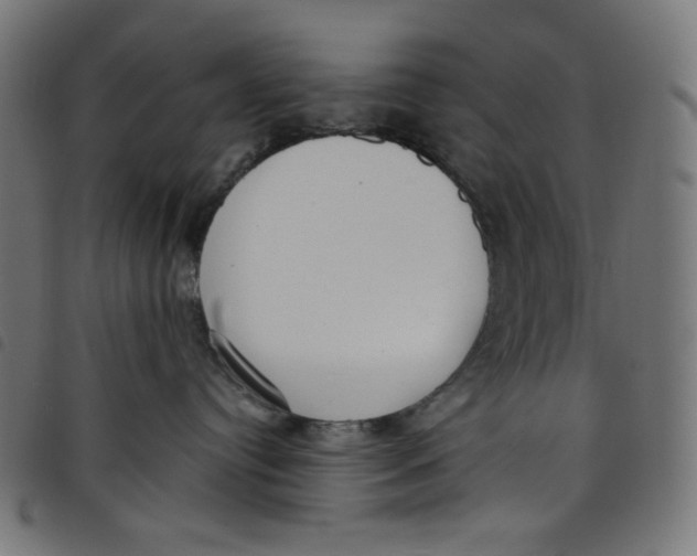 X0000098090384200804251301