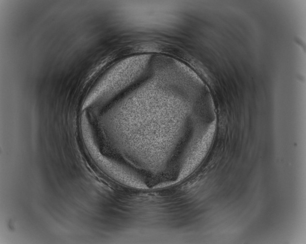 X0000098090386200804251300