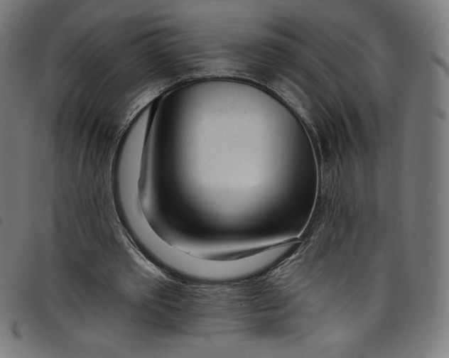 X0000098090389200804251300