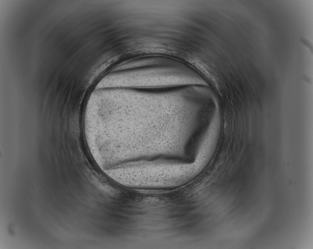 X0000098090390200804251300