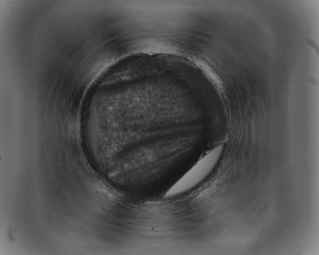 X0000098090391200804251300