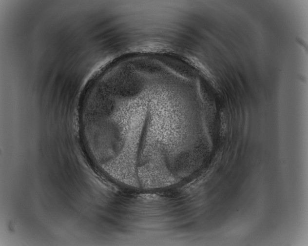 X0000098090392200804251300