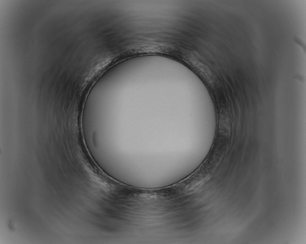 X0000098090394200804251300