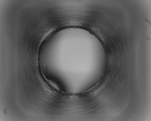 X0000098090395200804251300