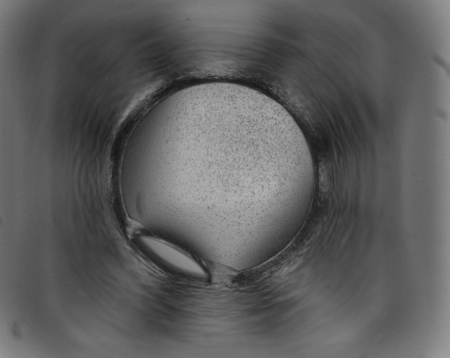 X0000098090396200804251300